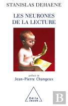 Les Neurones De La Lecture