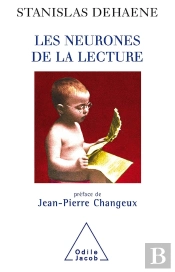 Les Neurones De La Lecture