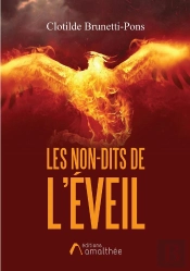 Les Non-Dits De L'Éveil