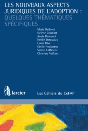 Les Nouveaux Aspects Juridiques De L'Adoption Quelques Thématiques Spécifiques