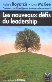Les Nouveaux Defis Du Leadership