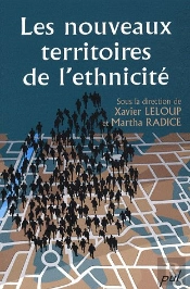 Les Nouveaux Territoires De L'Ethnicité
