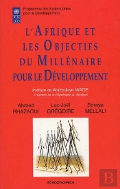 Les Objectifs Du Millenaire Pour Le Developpement En Afrique