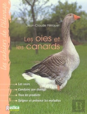 Les Oies Et Les Canards