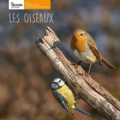 Les Oiseaux