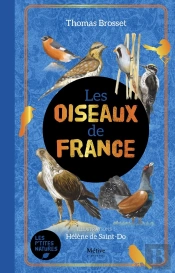 Les Oiseaux De France