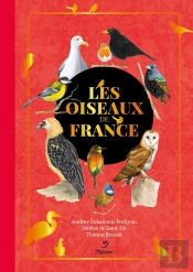 Les Oiseaux De France