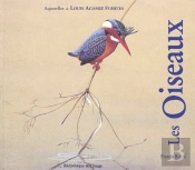 Les Oiseaux De Louis Agassiz Fuertes