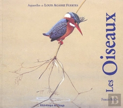 Bertrand.pt - Les Oiseaux De Louis Agassiz Fuertes