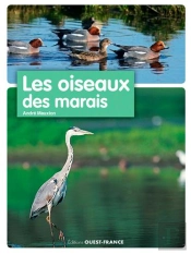 Les Oiseaux De Marais