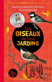 Les Oiseaux De Nos Jardins