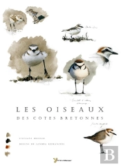 Les Oiseaux Des Côtes Bretonnes