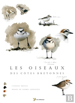 Bertrand.pt - Les Oiseaux Des Côtes Bretonnes