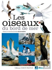Les Oiseaux Du Bord De Mer