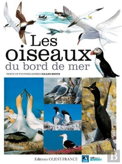Bertrand.pt - Les Oiseaux Du Bord De Mer