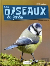Les Oiseaux Du Jardin