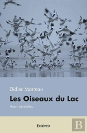 Les Oiseaux Du Lac