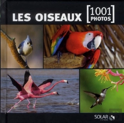 Bertrand.pt - Les Oiseaux En 1001 Photos - Ned -