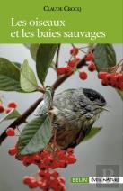 Les Oiseaux Et Les Baies Sauvages