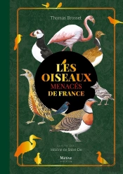 Les Oiseaux Menacés De France