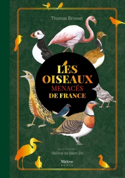 Bertrand.pt - Les Oiseaux Menacés De France