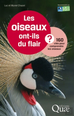 Bertrand.pt - Les Oiseaux Ont-Ils Du Flair ?