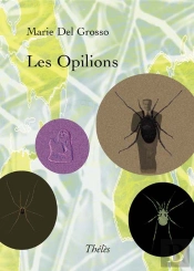 Les Opilions