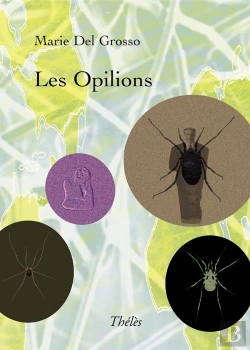 Bertrand.pt - Les Opilions