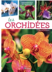 Les Orchidées