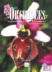 Les Orchidées Sauvages De France