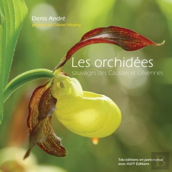 Bertrand.pt - Les Orchidees Sauvages Des Causses Et Cevennes