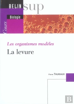 Bertrand.pt - Les Organismes Modeles : La Levure
