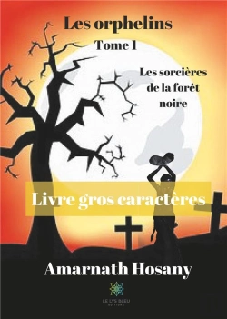 Bertrand.pt - Les Orphelins Tome I Gros Caracteres
