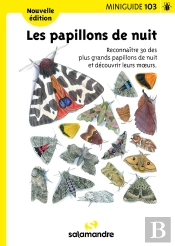Les Papillons De Nuit