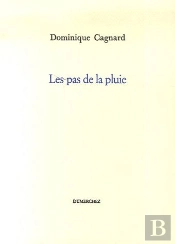 Les Pas De La Pluie