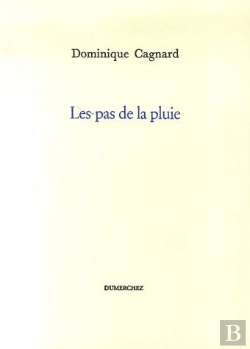 Bertrand.pt - Les Pas De La Pluie