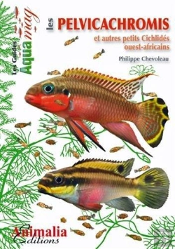 Bertrand.pt - Les Pelvicachromis Et Autres Petits Cichlidés Ouest-Africains