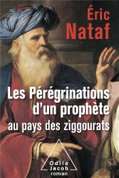 Les Peregrinations D Un Prophete Au Pays Des Ziggourats