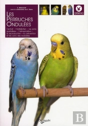 Les Perruches Ondulées