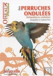 Les Perruches Ondulées ; Melopsittacus Undulatus