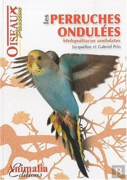 Bertrand.pt - Les Perruches Ondulées ; Melopsittacus Undulatus