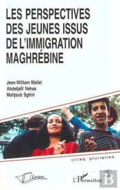 Les Perspectives Des Jeunes Issus De L'Immigration Maghrebine