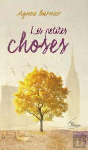 Les Petites Choses