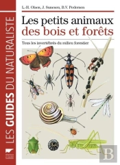 Les Petits Animaux Des Bois Et Forêts