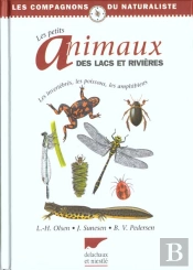 Les Petits Animaux Des Lacs Et Rivieres
