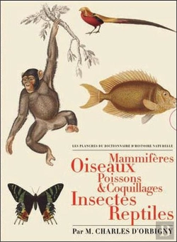 Bertrand.pt - Les Planches Du Dictionnaire D'Histoire Naturelle