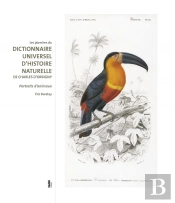 Les Planches Du Dictionnaire Universel D'Histoire Naturelle De Charles D'Orbigny ; Dessins D'Animaux Au Xix Siècle