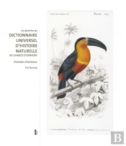 Bertrand.pt - Les Planches Du Dictionnaire Universel D'Histoire Naturelle De Charles D'Orbigny ; Dessins D'Animaux Au Xix Siècle
