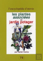 Les Plantes Associées Au Jardin Potager