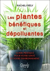Les Plantes B N Fiques Et D Polluantes